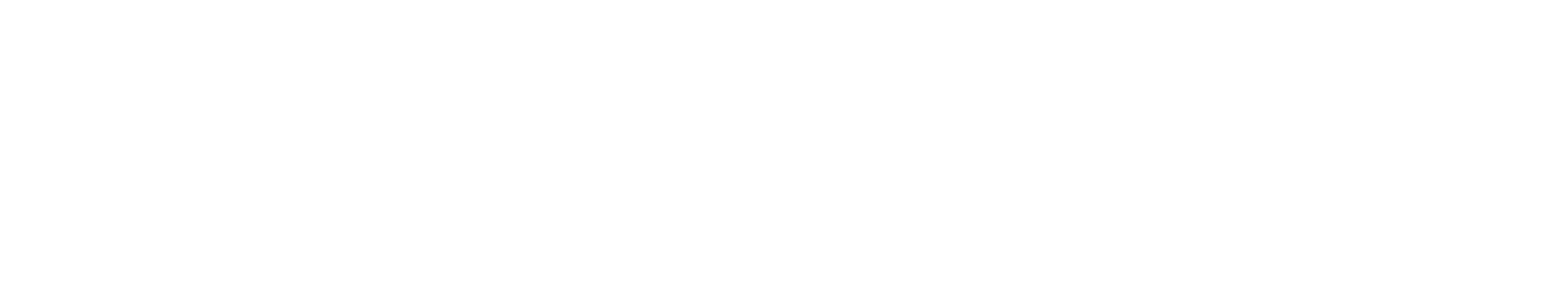 Jhangiani Narula & Associates Logo